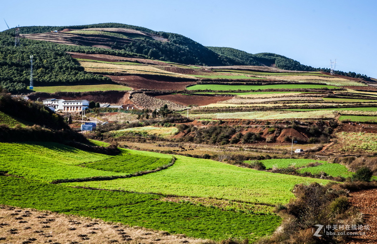 东川红土地之（四）——红土地大观