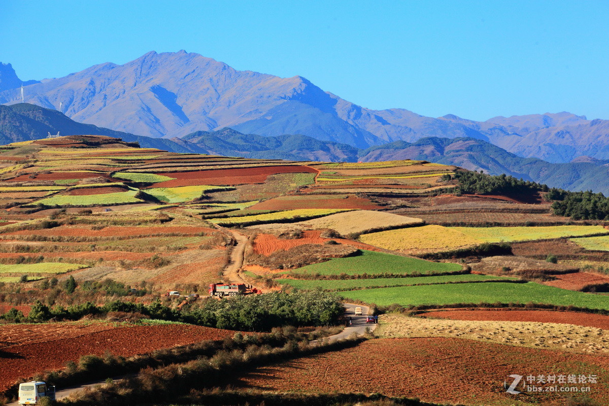 东川红土地之（四）——红土地大观