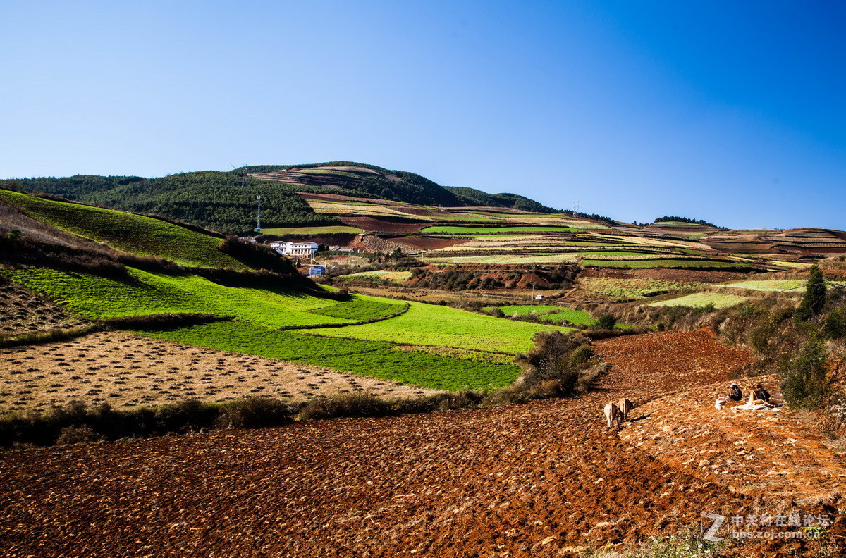 东川红土地之（四）——红土地大观