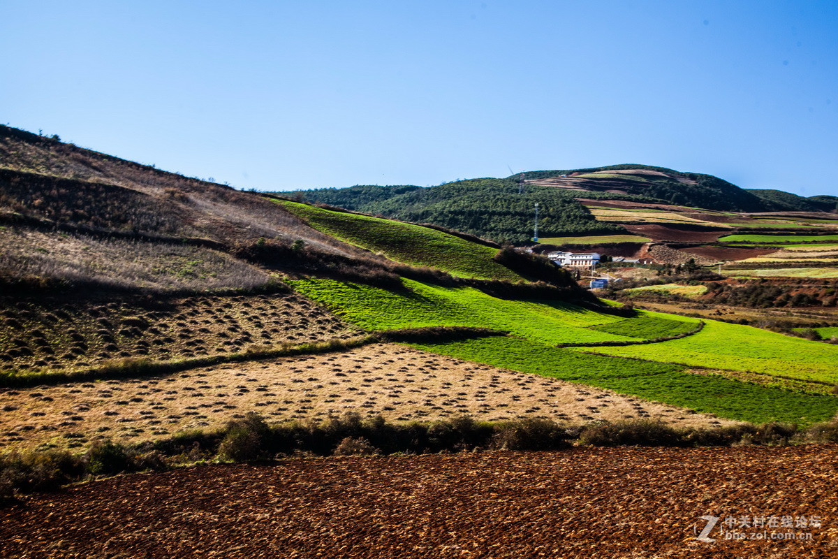 东川红土地之（四）——红土地大观