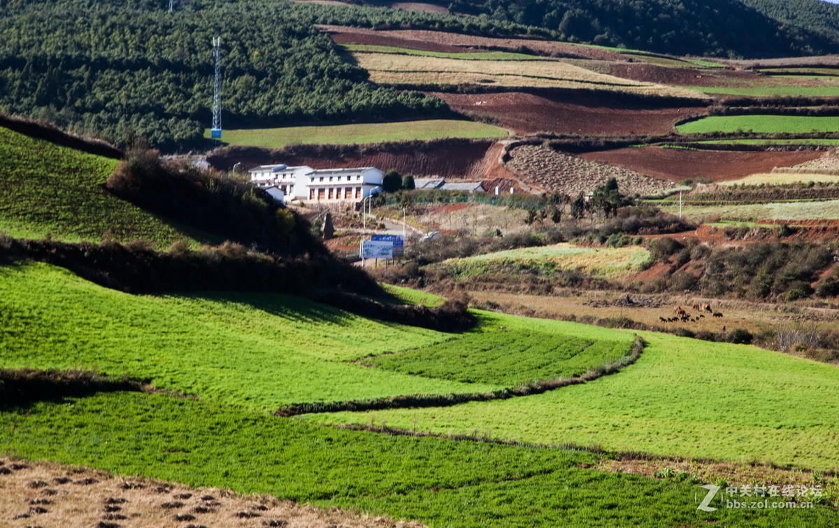 东川红土地之（四）——红土地大观