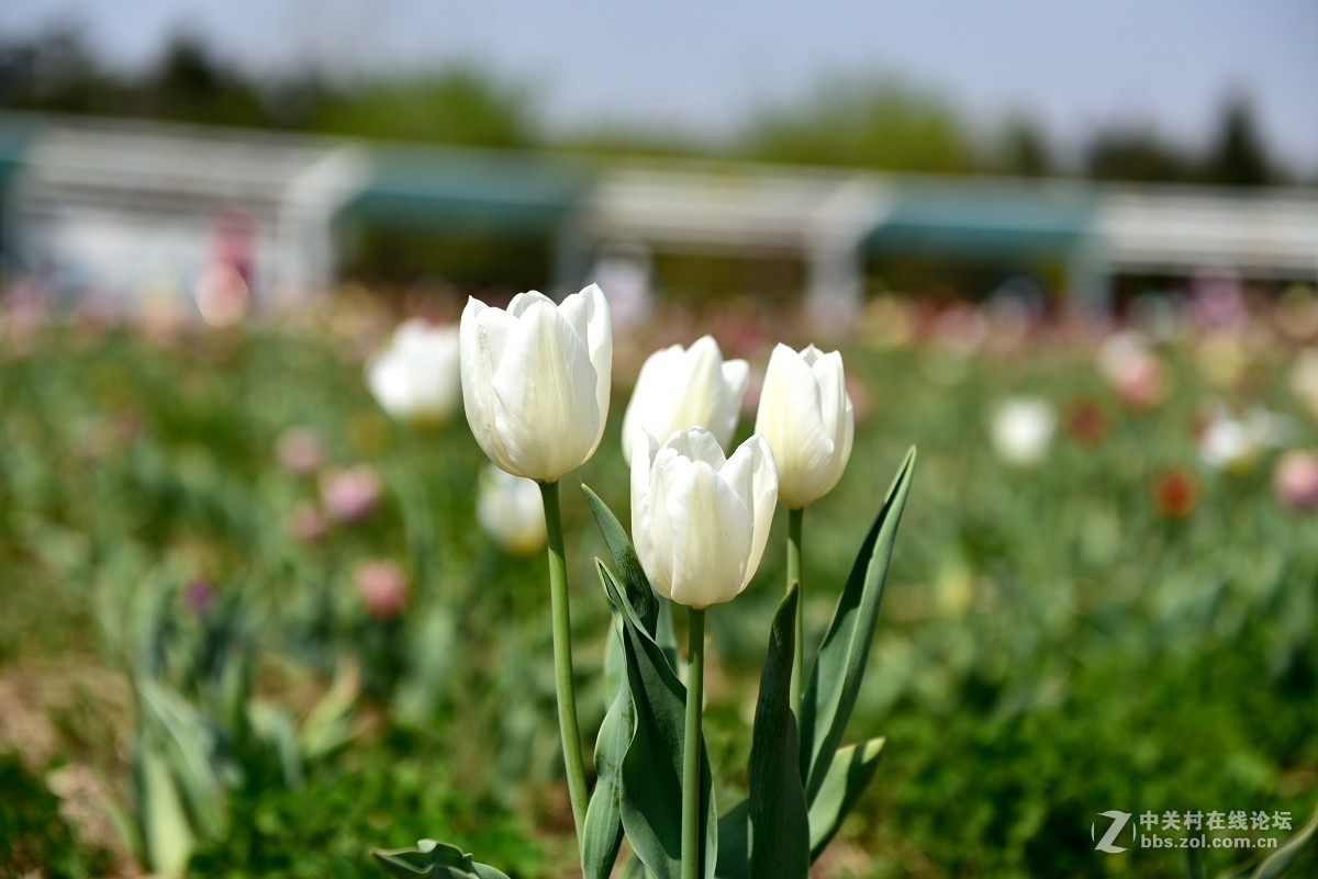 好久没有拍片，本来自己就不行还不勤于练习，趁假期拍一组小片练练手.