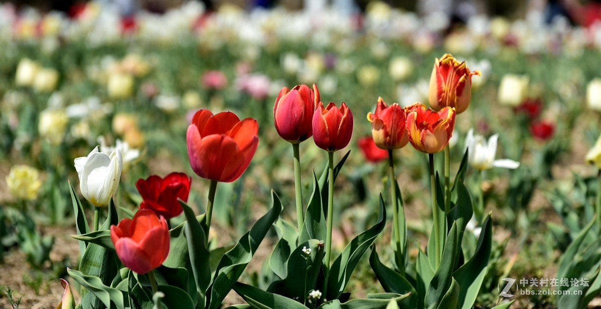 好久没有拍片，本来自己就不行还不勤于练习，趁假期拍一组小片练练手.
