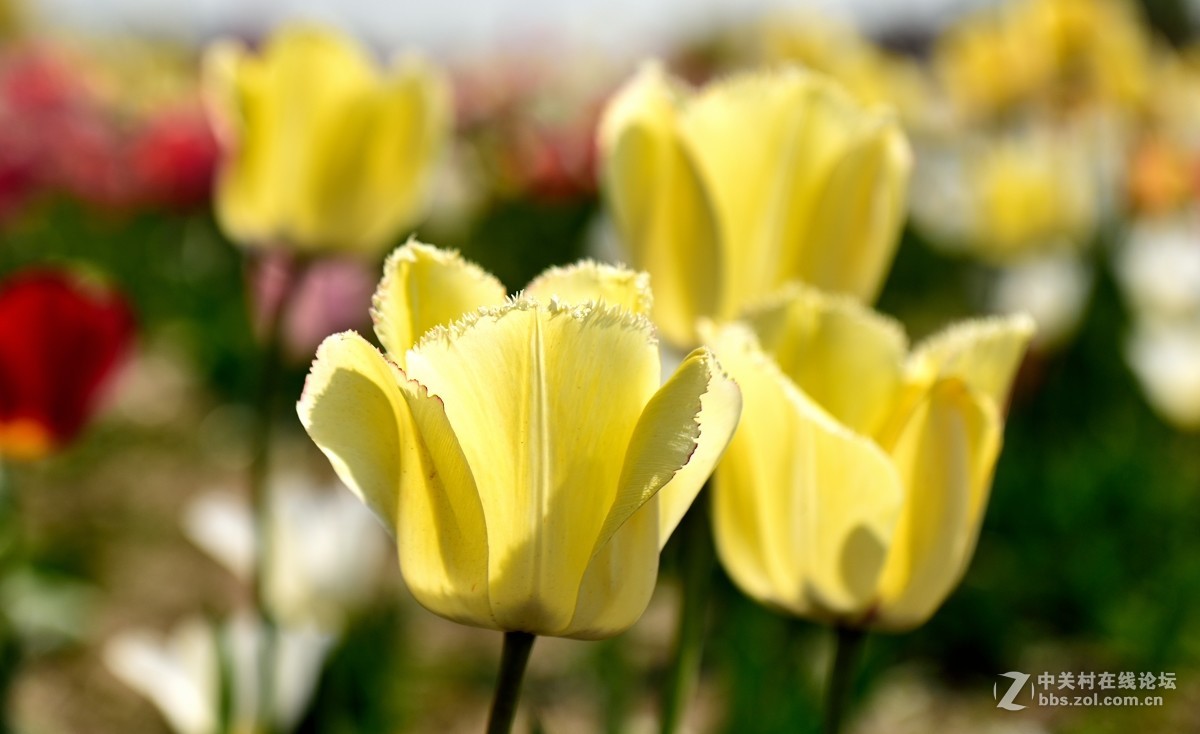 好久没有拍片，本来自己就不行还不勤于练习，趁假期拍一组小片练练手.