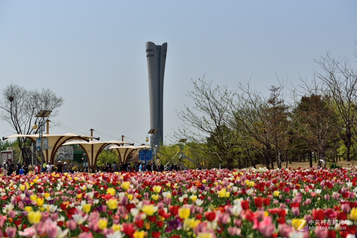 好久没有拍片，本来自己就不行还不勤于练习，趁假期拍一组小片练练手.