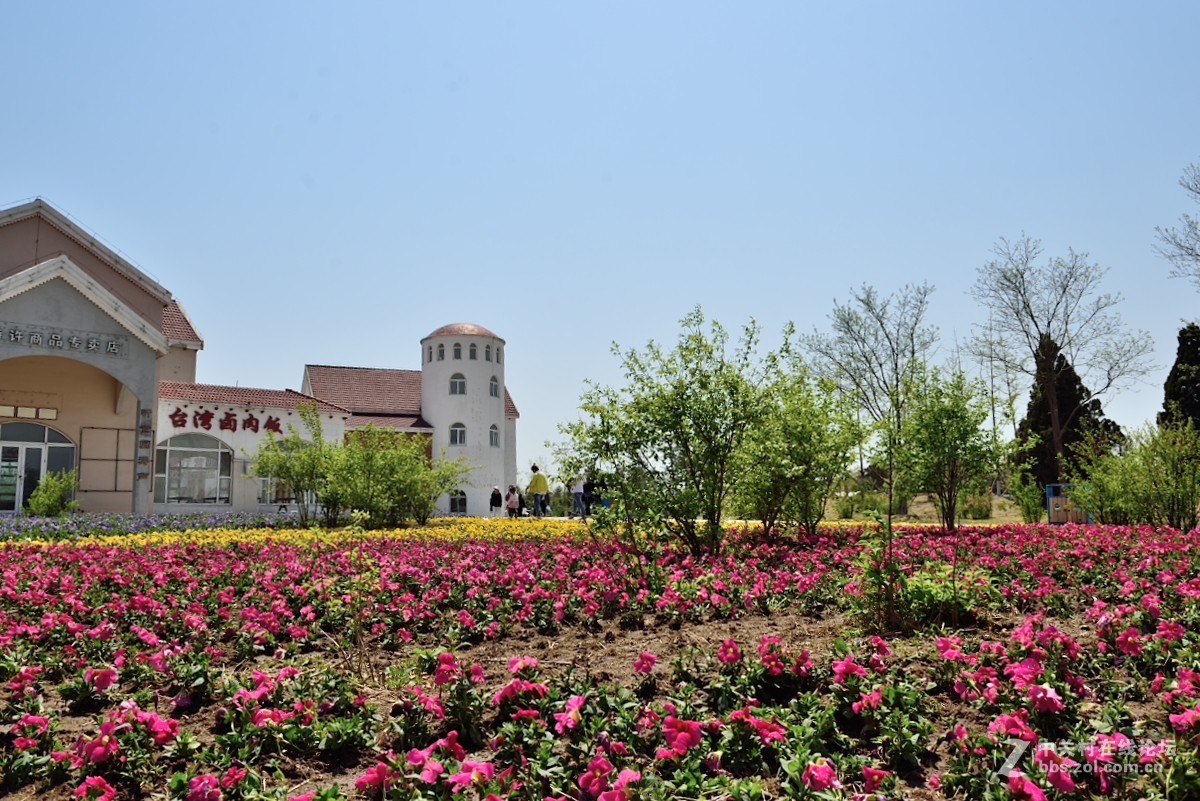 好久没有拍片，本来自己就不行还不勤于练习，趁假期拍一组小片练练手.