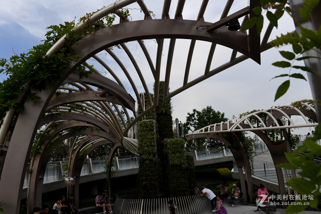 上海迪斯尼游乐园(9)