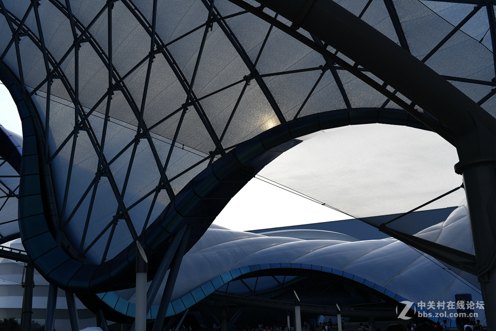 上海迪斯尼游乐园(9)