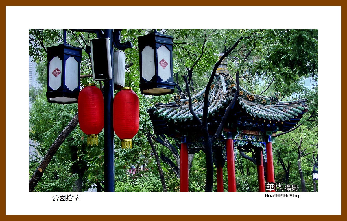 南行游摄——公园拾翠（太原文瀛公园）