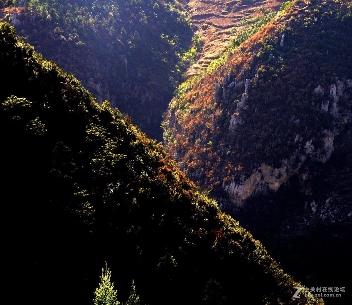云贵高原上列车路途的风光