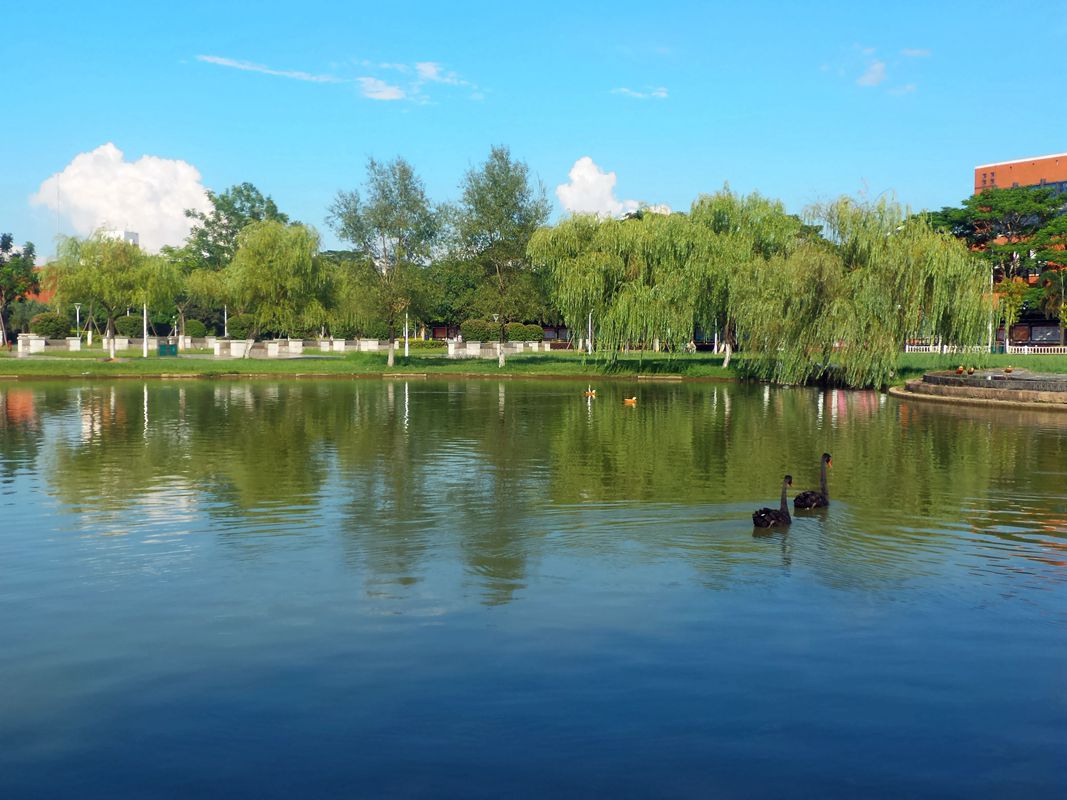 最后的华硕影像