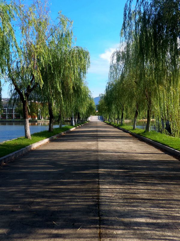 最后的华硕影像