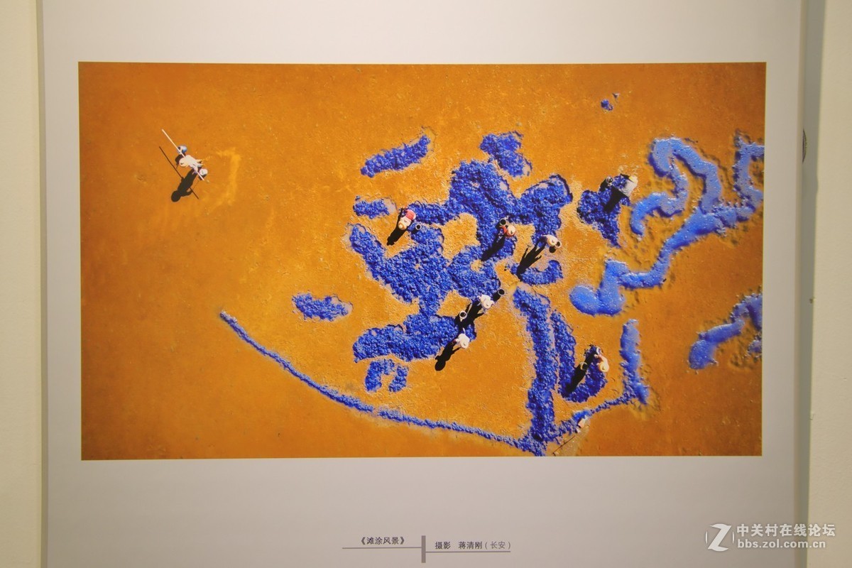 人家拍得这么靓