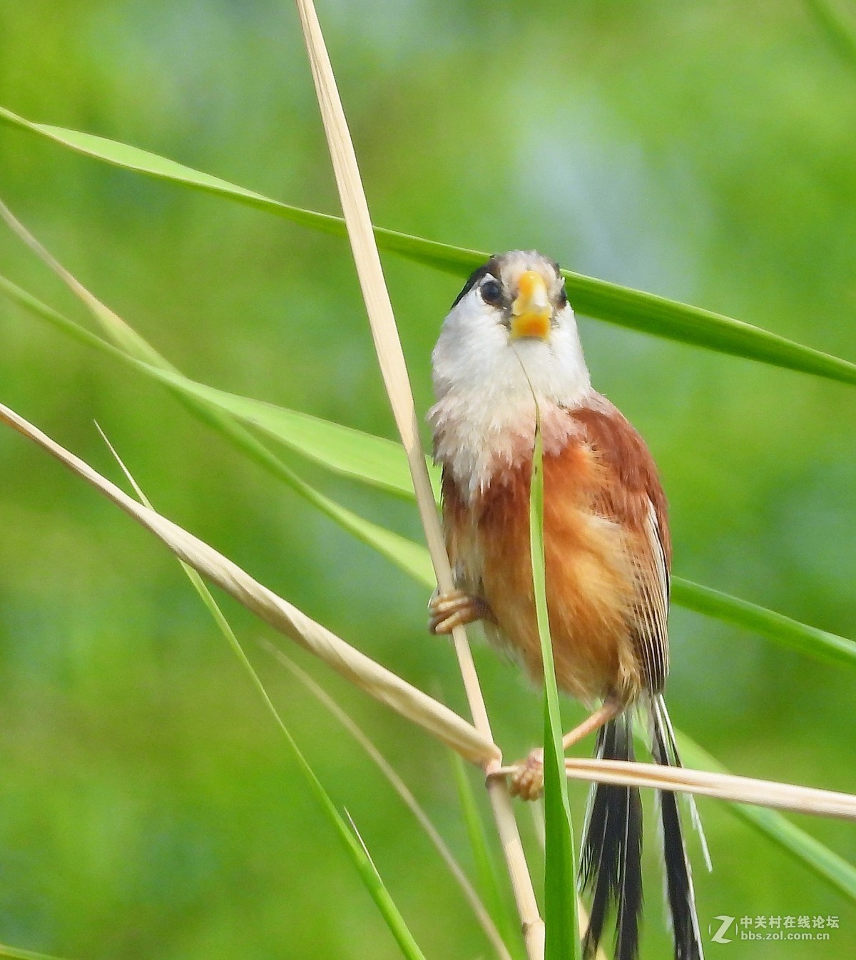 这相机还是挺好的   远近通吃