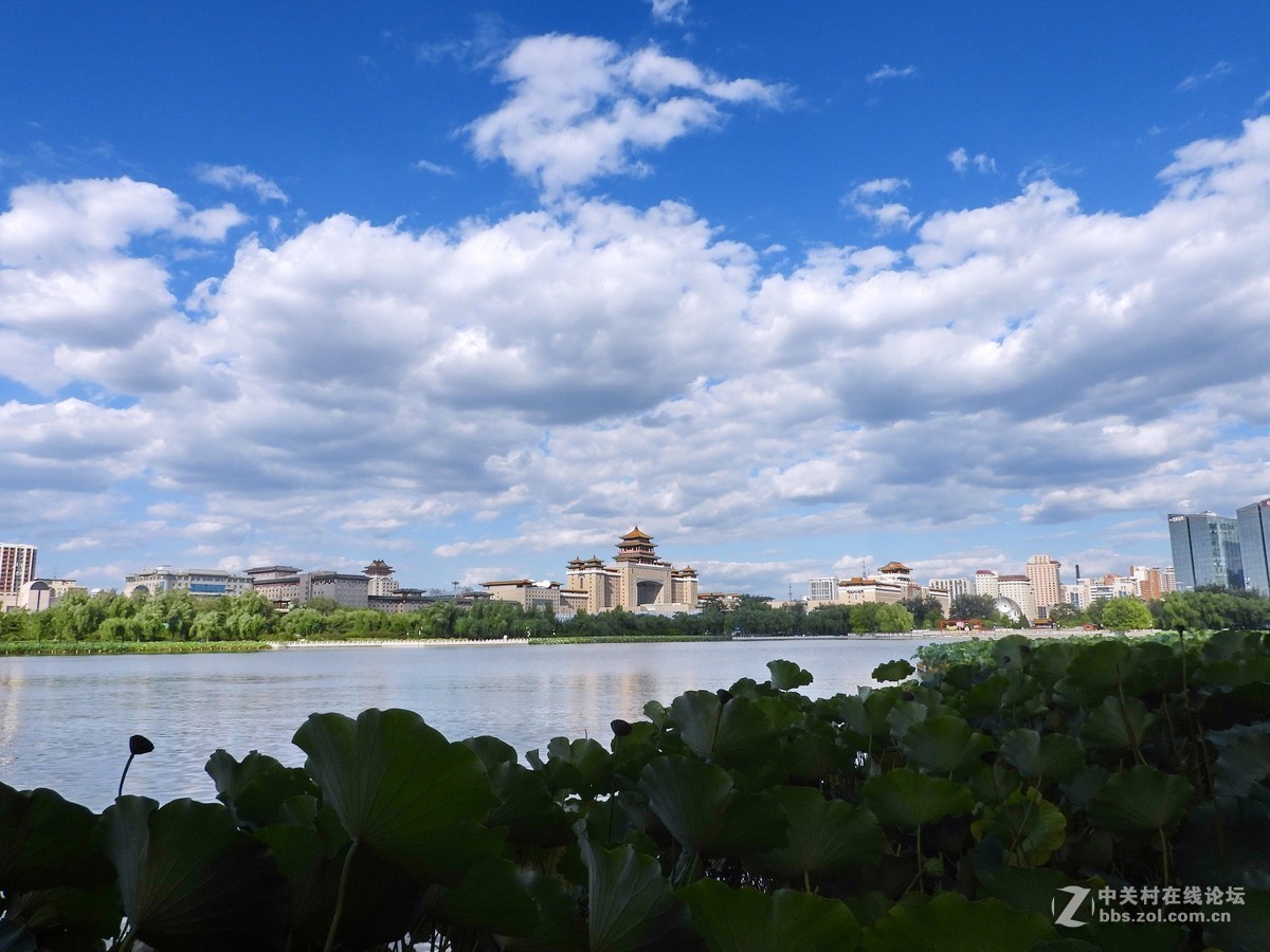 这相机还是挺好的   远近通吃