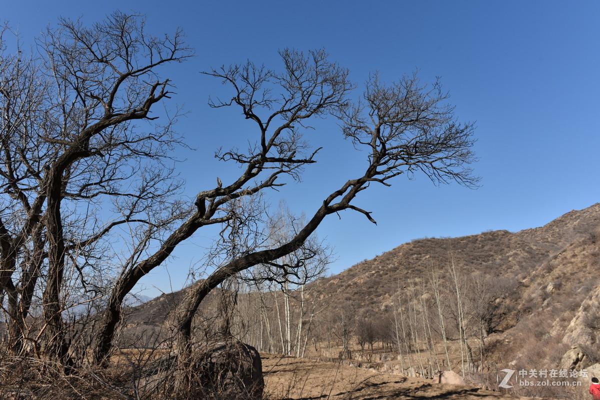北方一山村【新机练习】