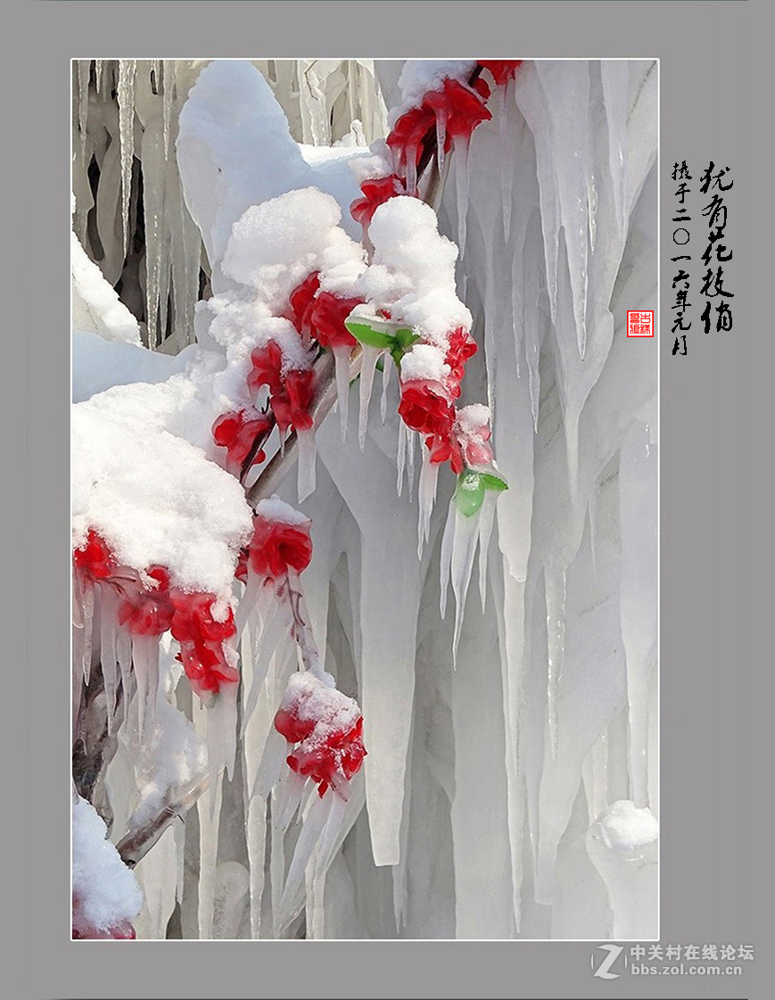 【  犹有花枝俏  】