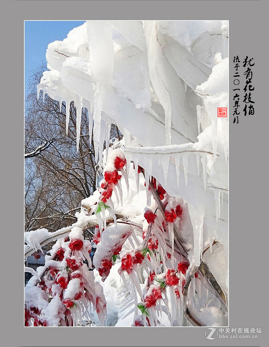 【  犹有花枝俏  】