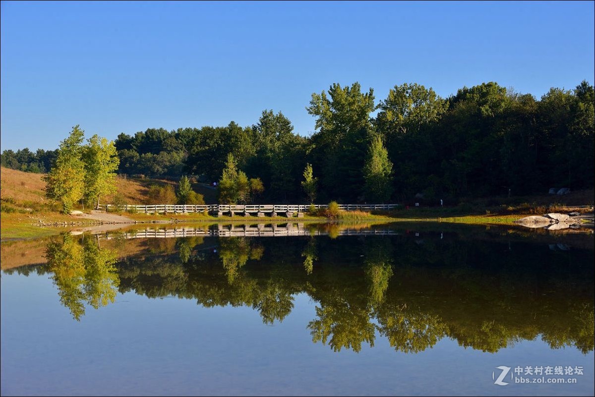 休闲随拍（338）