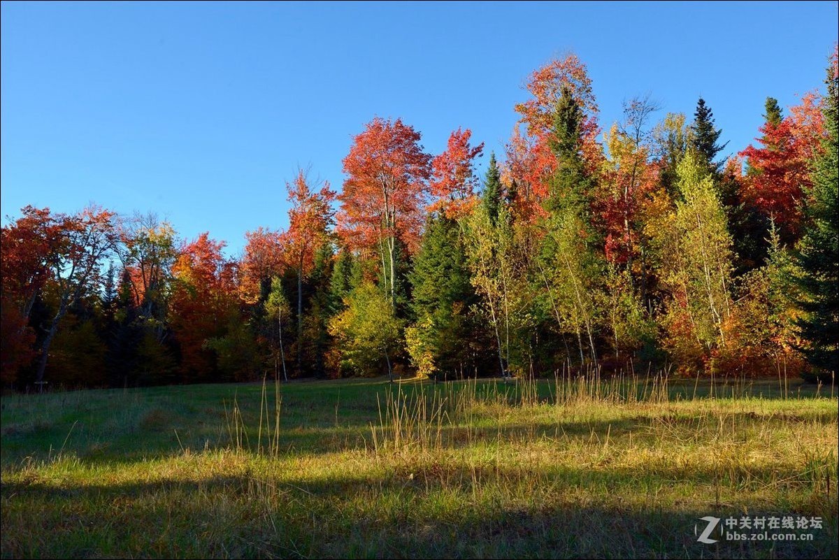 休闲随拍（338）