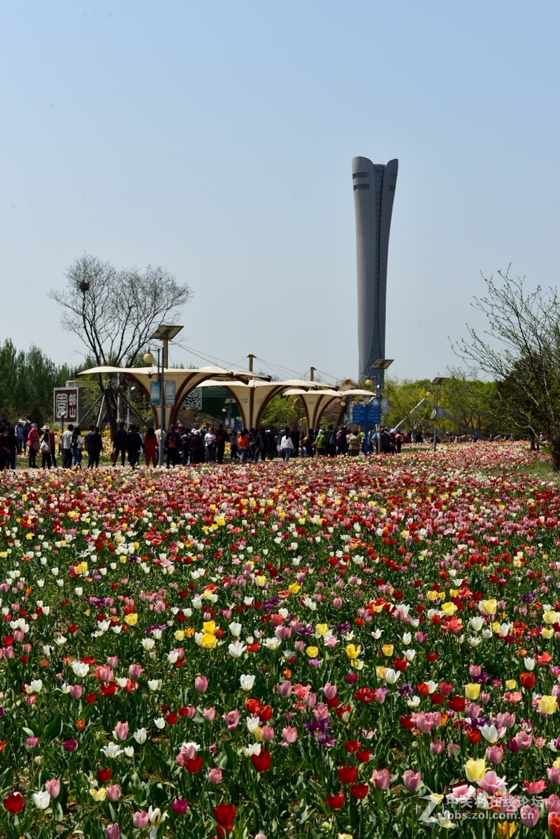 好久没有拍片，本来自己就不行还不勤于练习，趁假期拍一组小片练练手.