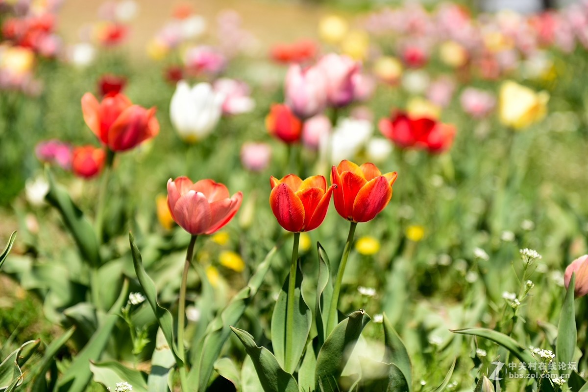 好久没有拍片，本来自己就不行还不勤于练习，趁假期拍一组小片练练手.