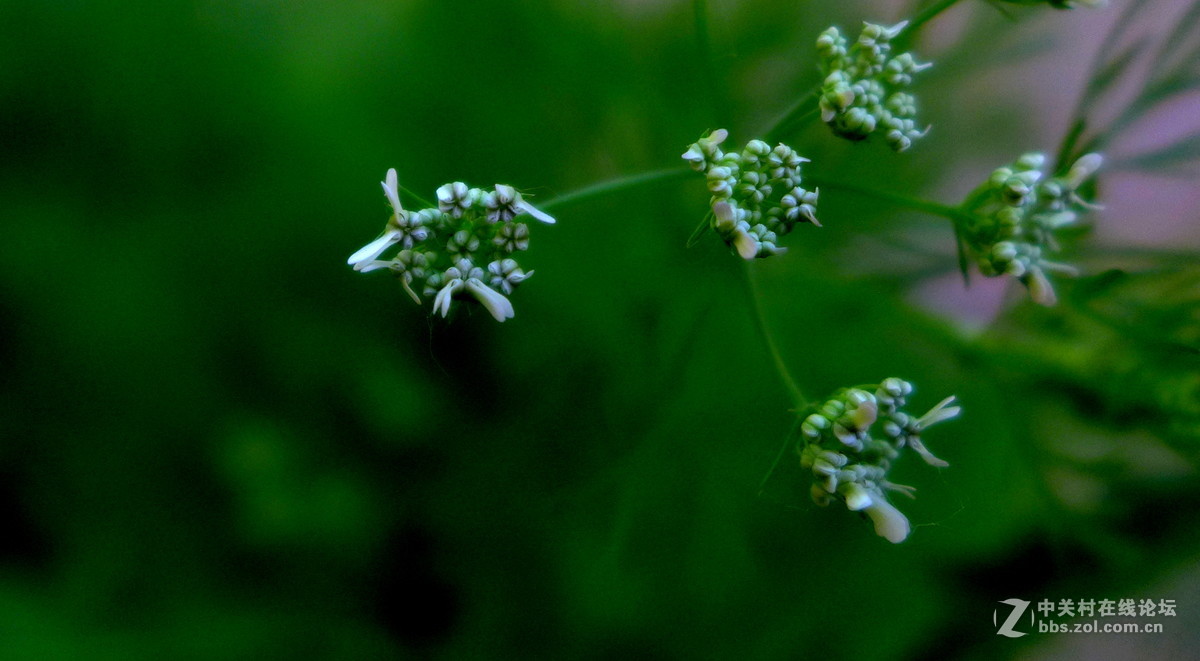 散步随拍10（小景），请多多指教。