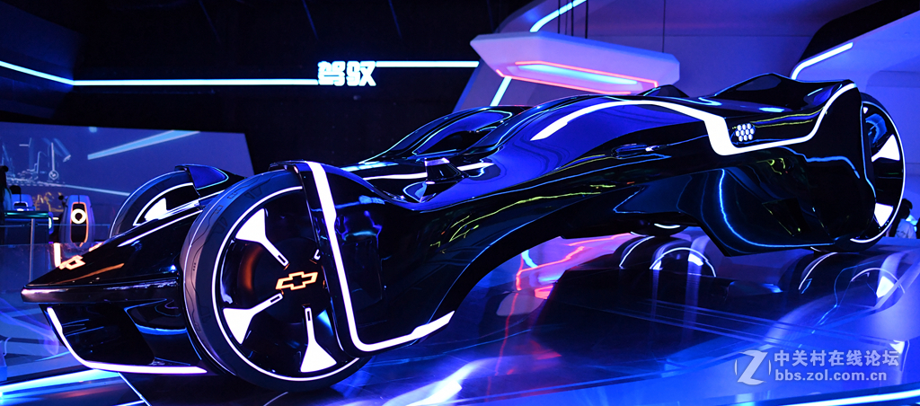 上海迪斯尼游乐园(9)