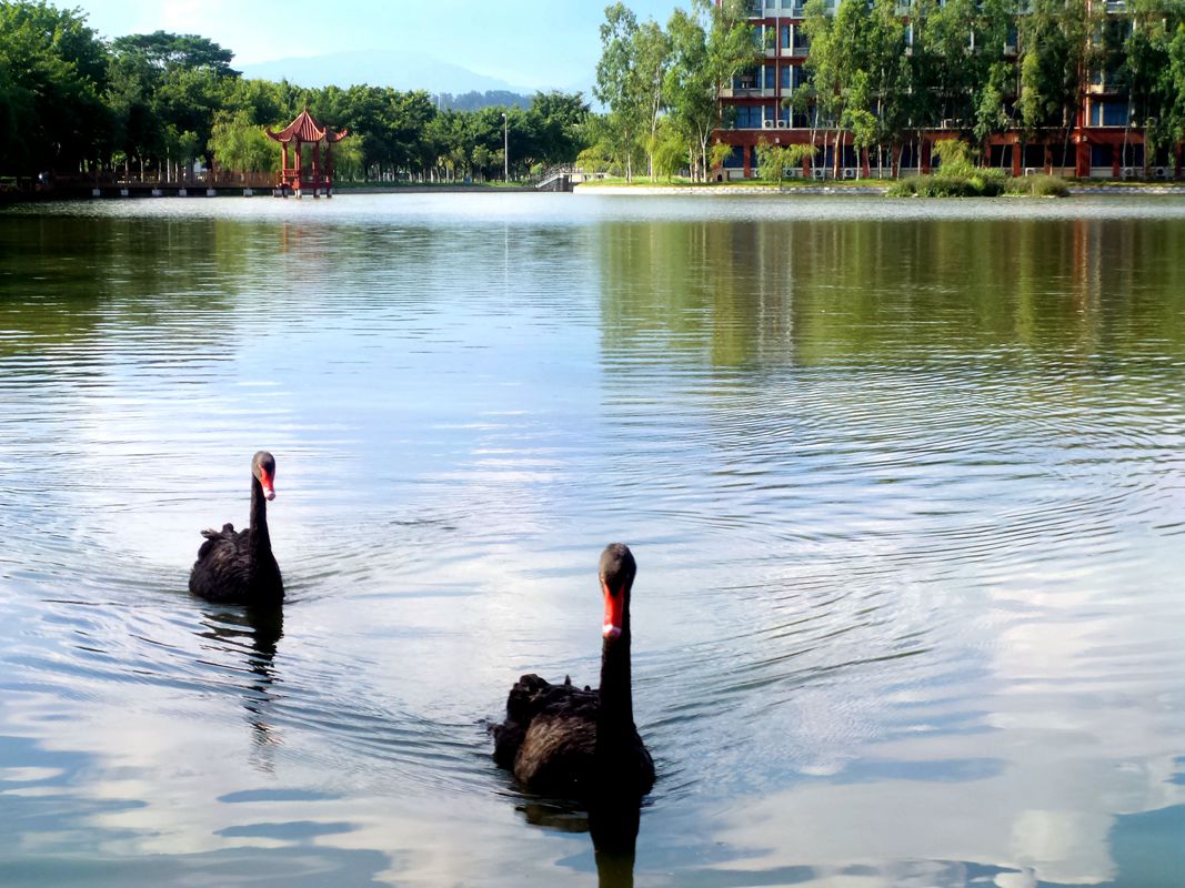 最后的华硕影像