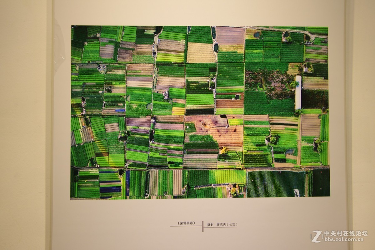 人家拍得这么靓