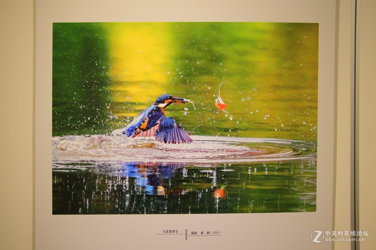 人家拍得这么靓