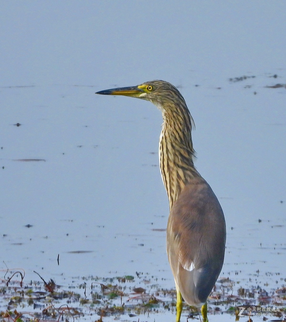 这相机还是挺好的   远近通吃
