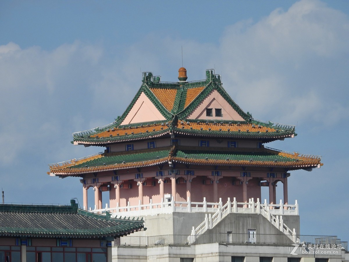 这相机还是挺好的   远近通吃