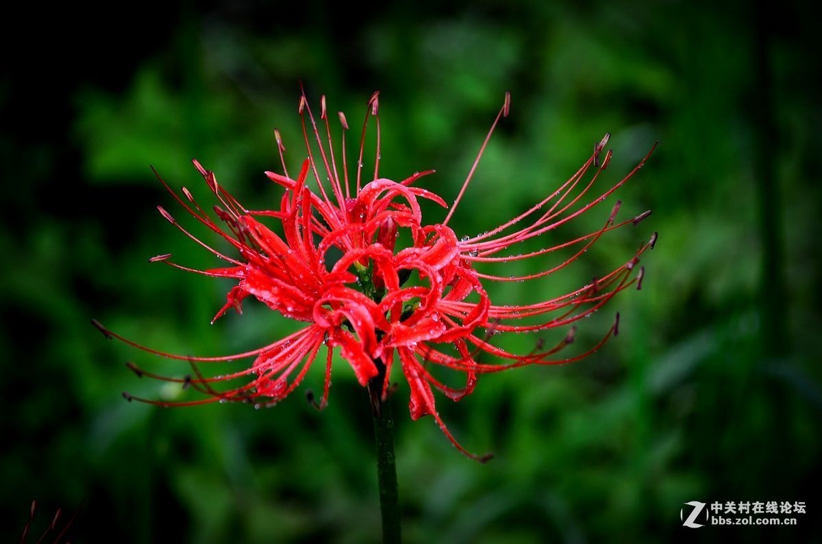 #版主坐堂# 小五星空(中国)九月精品荟萃