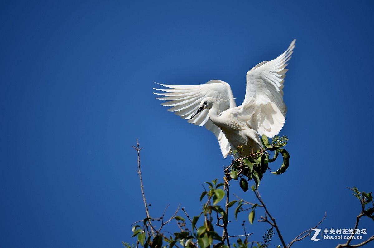#版主坐堂# 小五星空(中国)九月精品荟萃