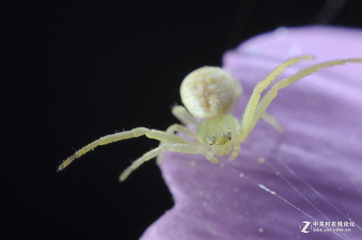 #版主坐堂# 小五星空(中国)九月精品荟萃
