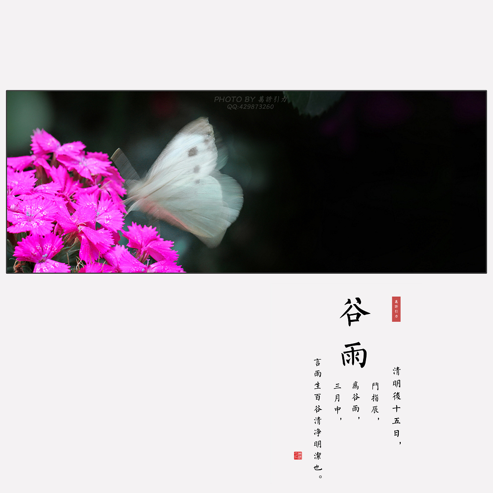 #ZOL月赛-四月物语#  谷雨（节气）...