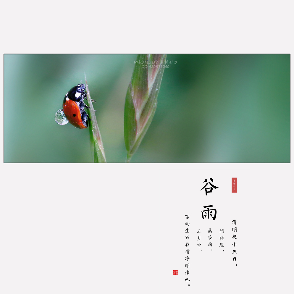 #ZOL月赛-四月物语#  谷雨（节气）...