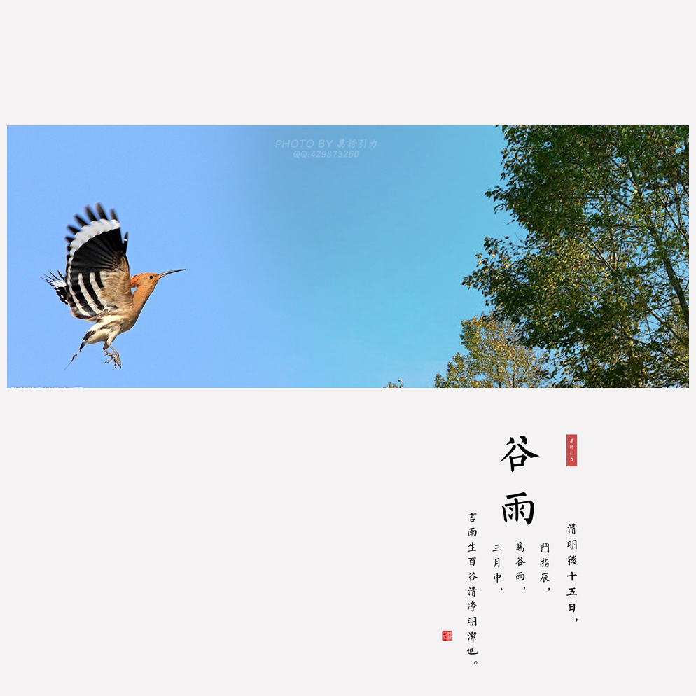 #ZOL月赛-四月物语#  谷雨（节气）...