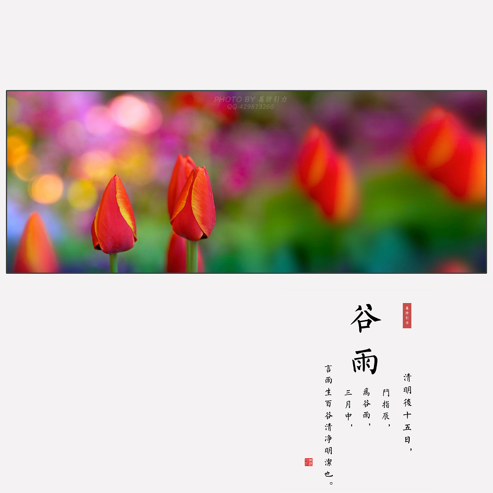 #ZOL月赛-四月物语#  谷雨（节气）...