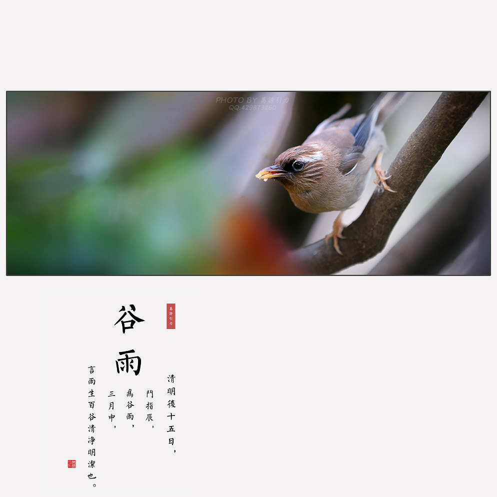 #ZOL月赛-四月物语#  谷雨（节气）...