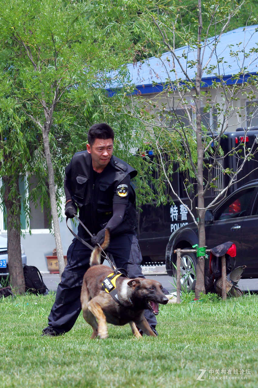 走进特警训练营