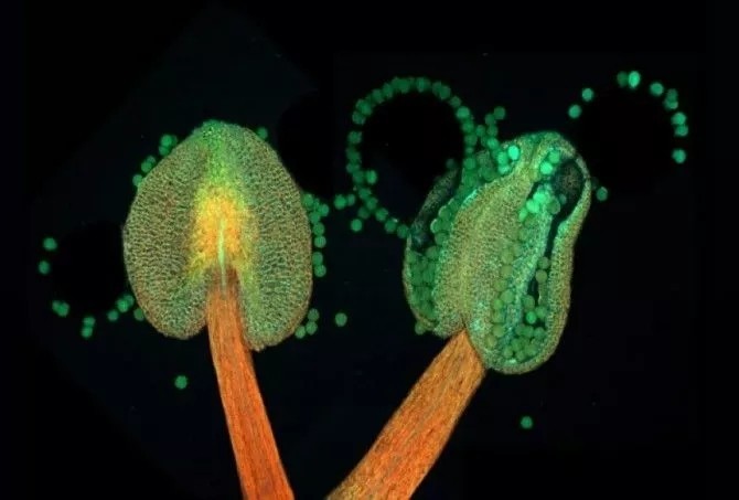 转载：尼粉微距