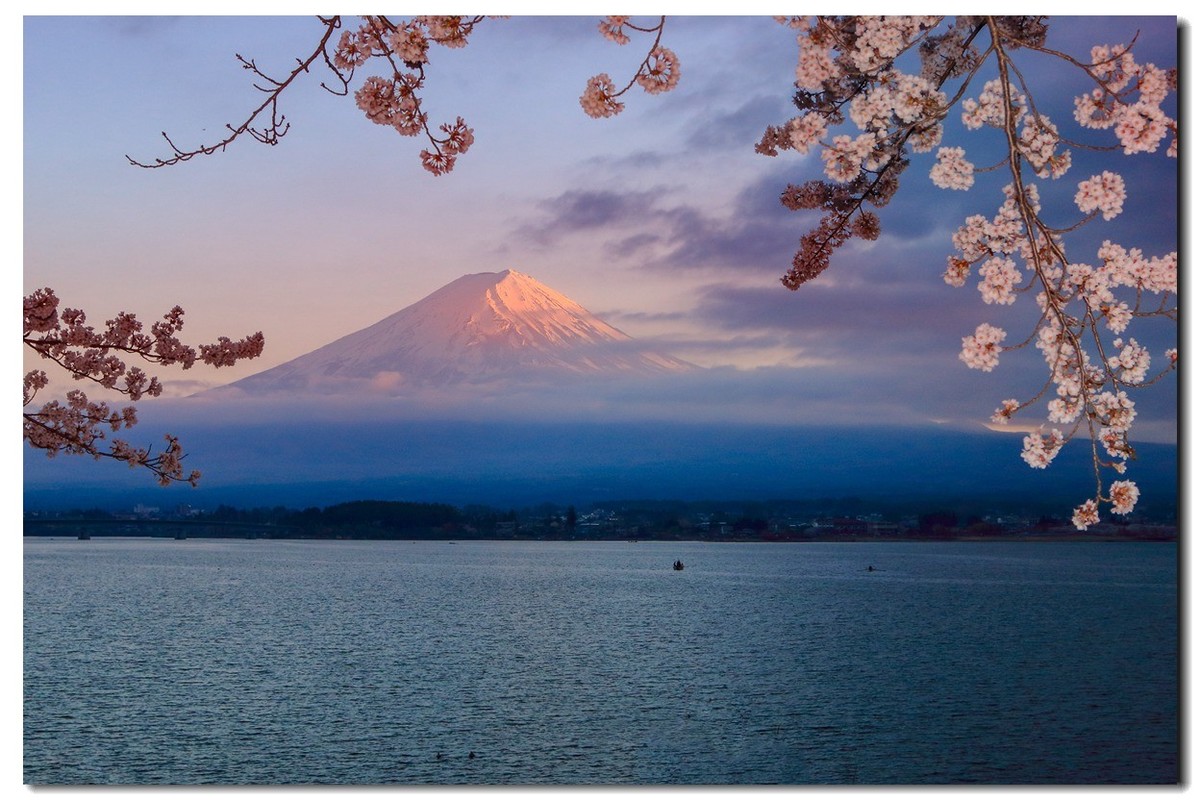 悠悠专程进山取材，祝贺师友端午节快乐！