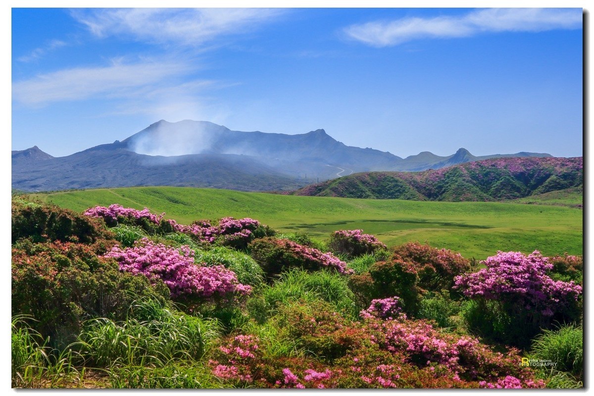 悠悠专程进山取材，祝贺师友端午节快乐！