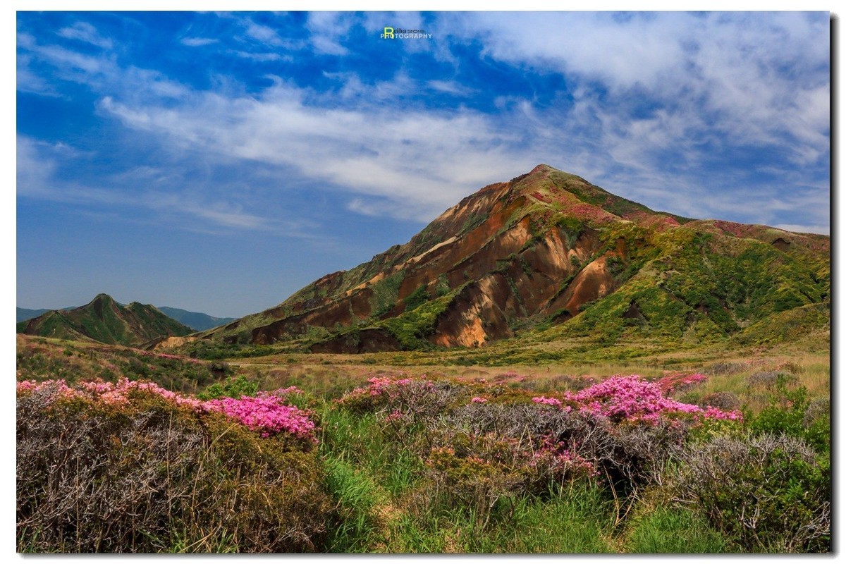 悠悠专程进山取材，祝贺师友端午节快乐！