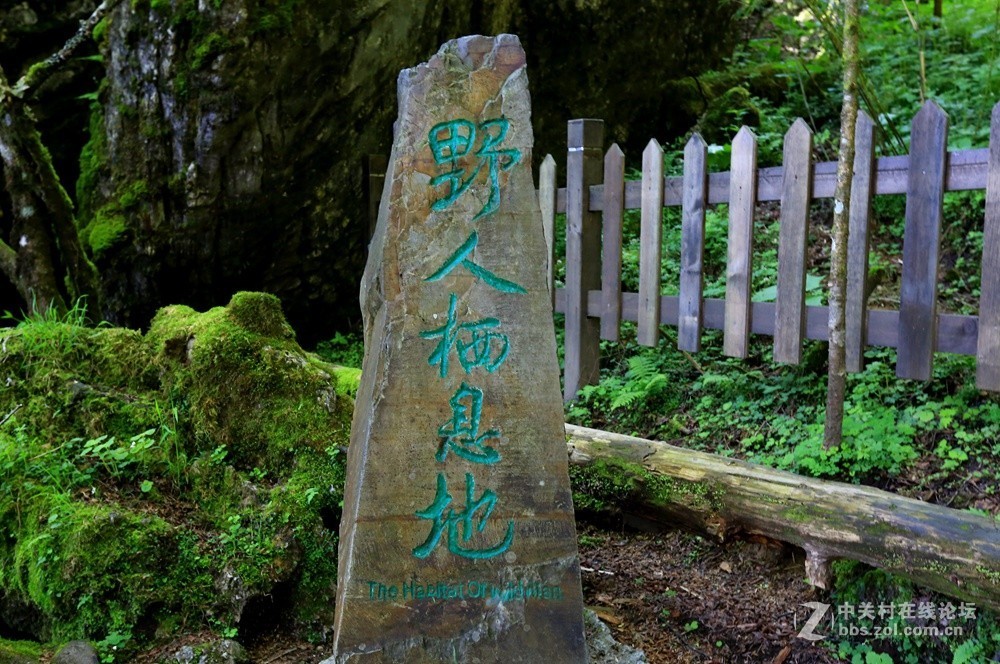 (神农架)野人栖息地！