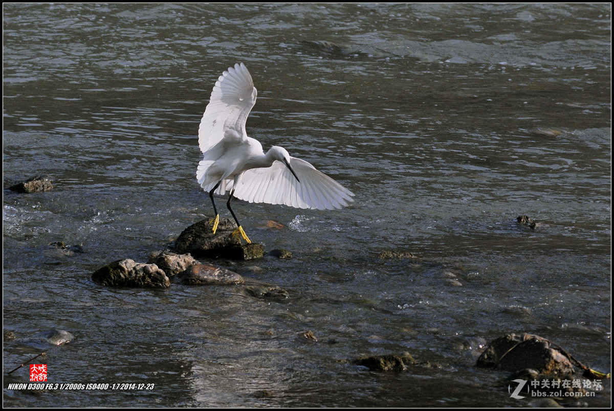 #版主坐堂# 小五星空(中国)九月精品荟萃