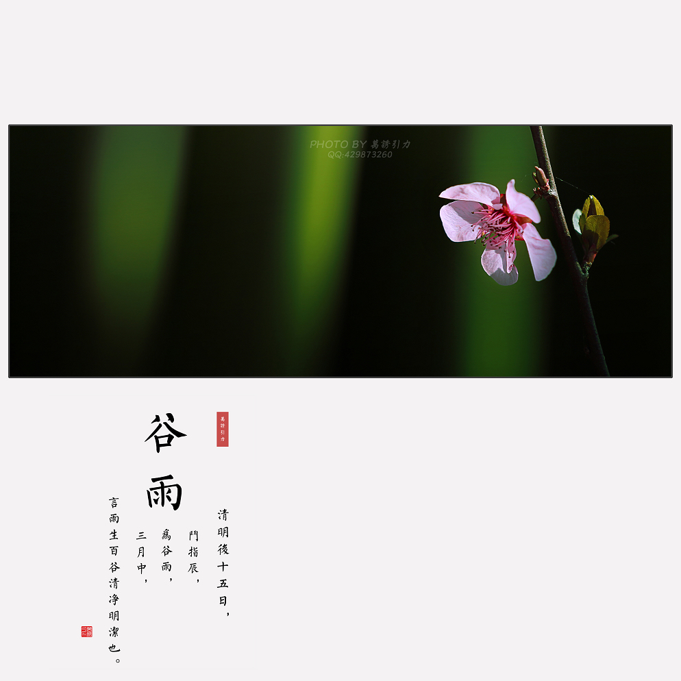 #ZOL月赛-四月物语#  谷雨（节气）...