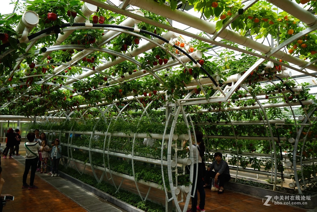 2016寿光蔬菜博览会